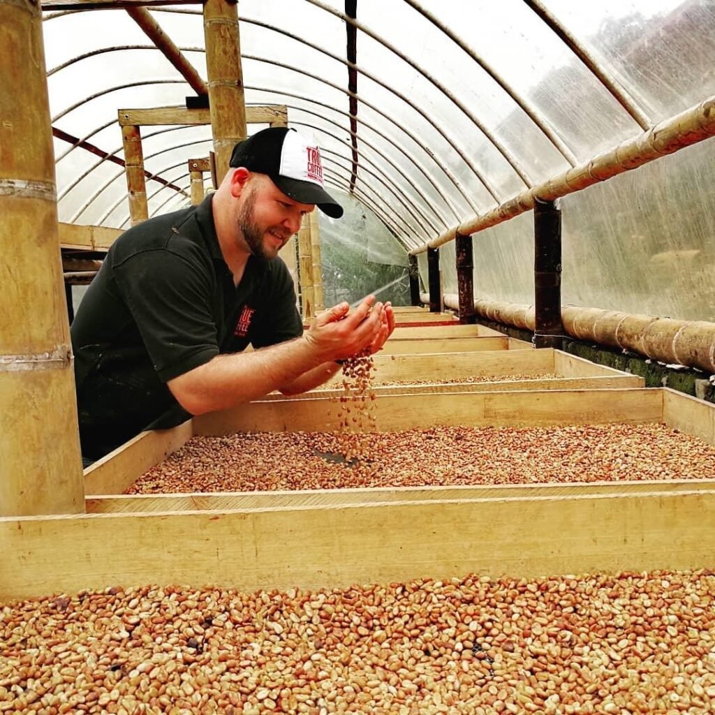 Green coffee beans from True Coffee farm in Dota, Tarrazu, Costa Rica